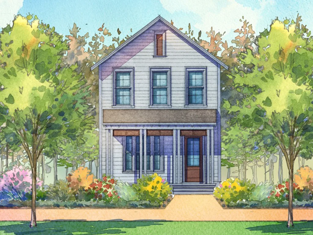 Willow Oak O