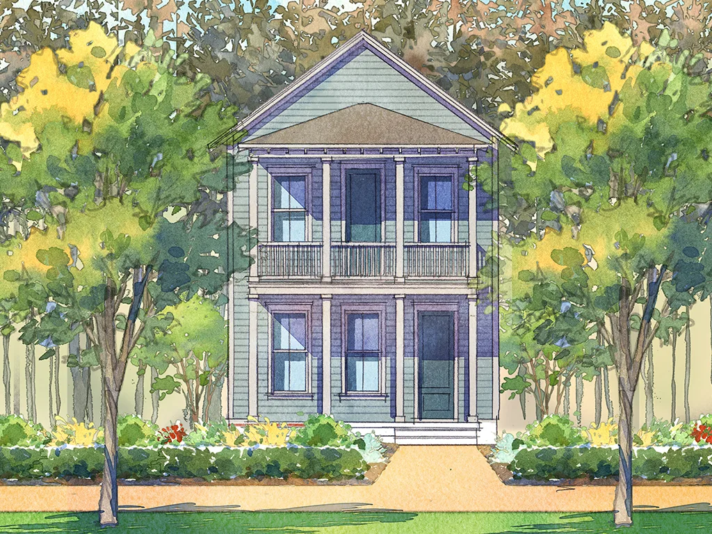 Willow Oak P